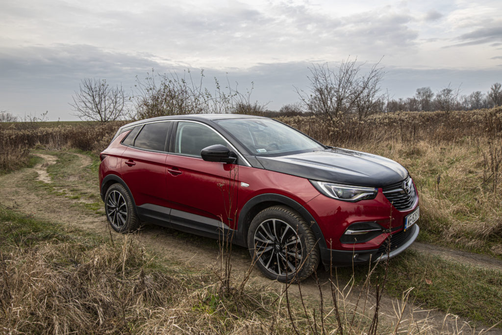 Dane rynkowe. SUV-y są coraz popularniejsze