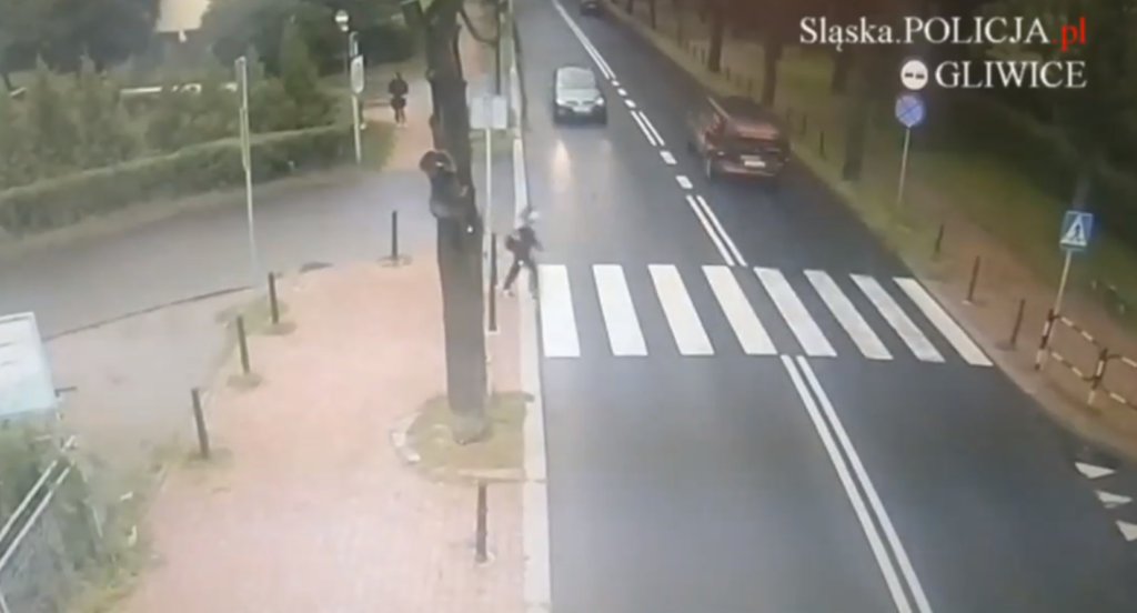 Potrącenie pieszej na pasach. Kto winny? Policja nie ma wątpliwości