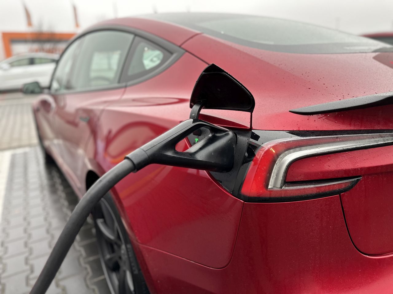 Co warto wiedzieć o elektrykach?